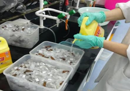 新人進實驗室，為什么先刷瓶子？